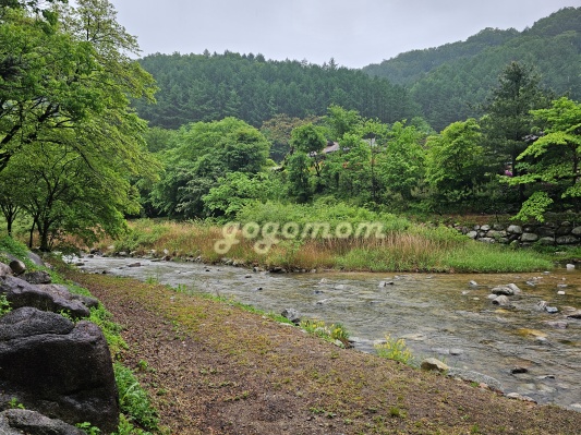 모야의숲 계곡가는길