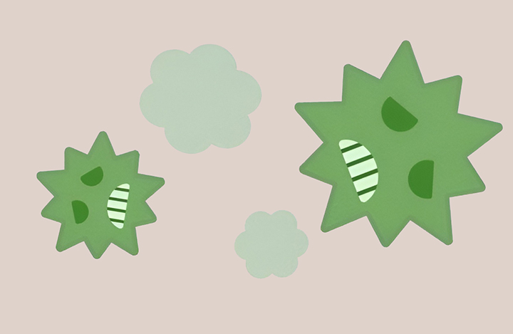 항산화-작용-모습