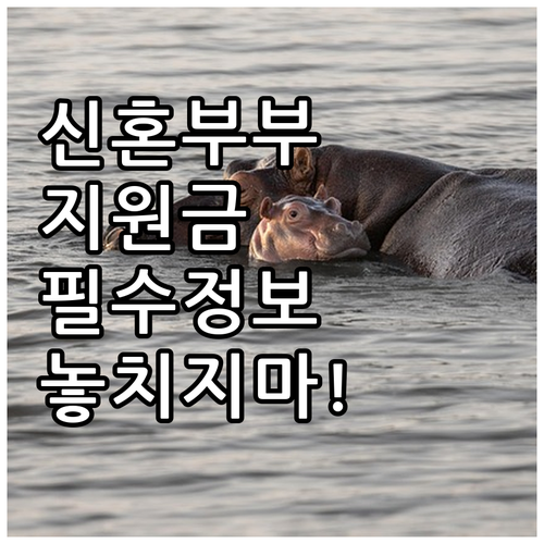 서울시 신혼부부 지원금 신청 조건과 ..