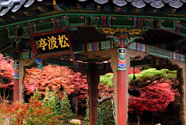 세종 베어트리파크 수목원