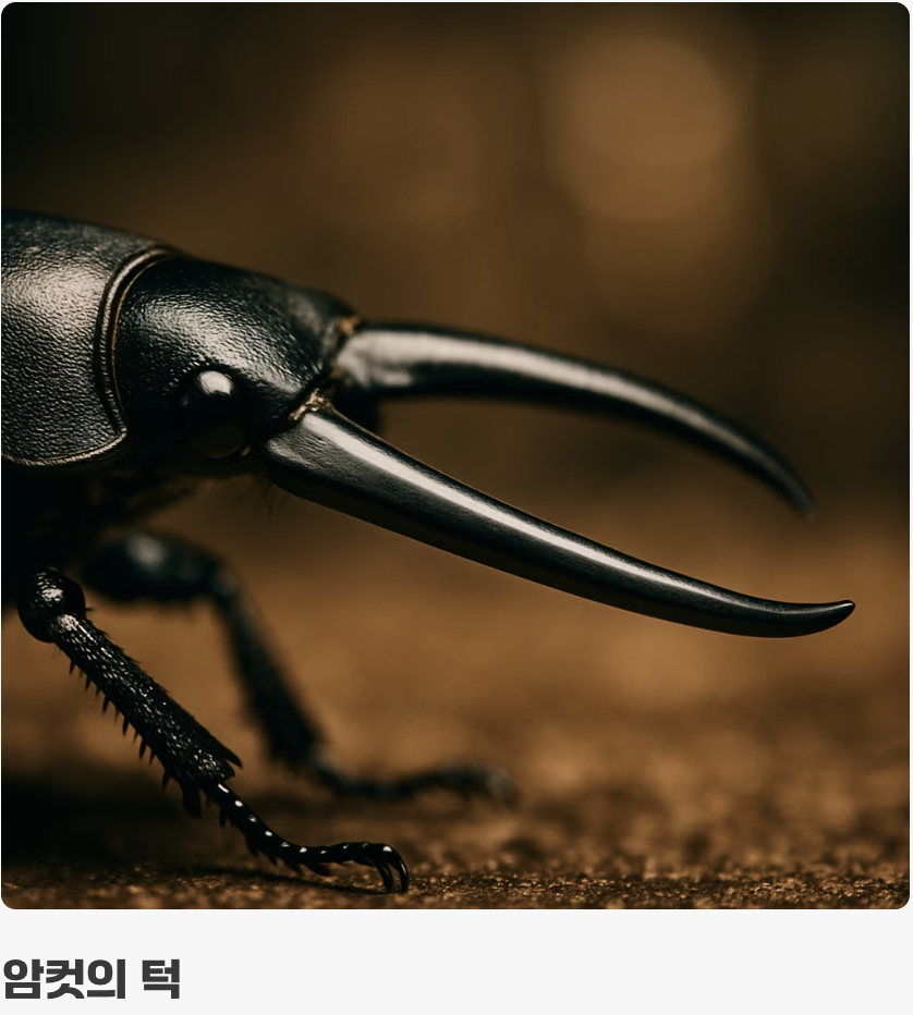 결정적 단서&amp;#44; 턱의 &amp;#39;모양&amp;#39;과 &amp;#39;굽이&amp;#39;