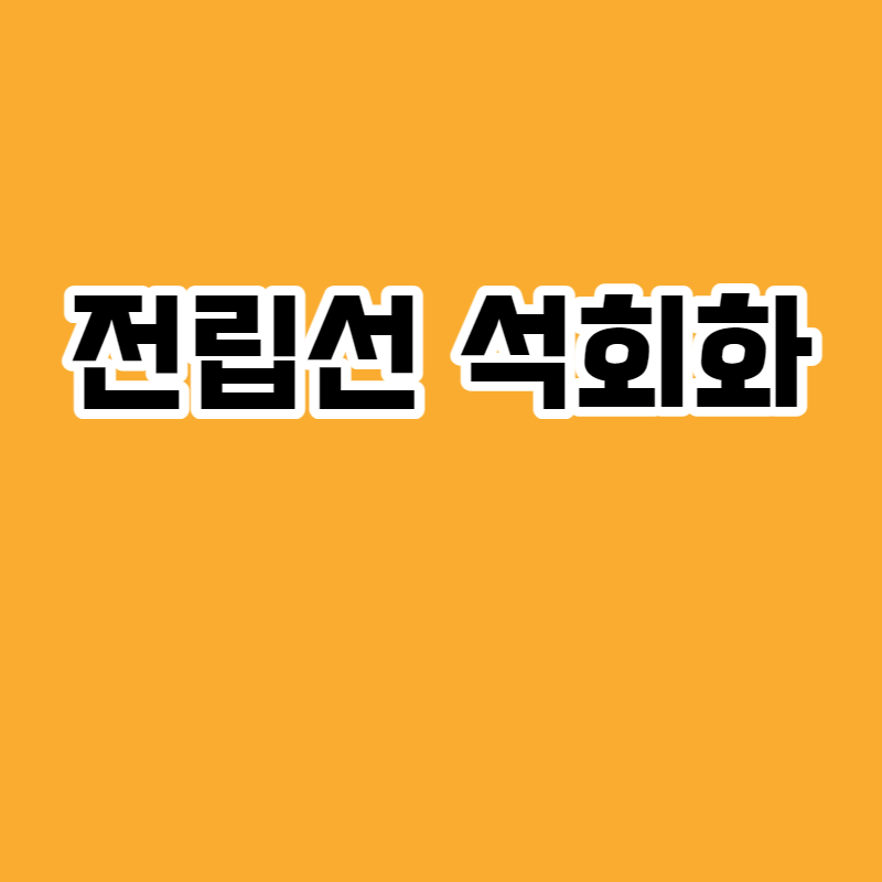 전립선 석회화