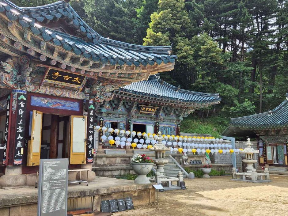 금산 가볼만한곳 베스트10