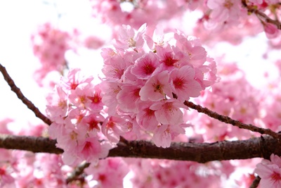 숙박세일페스타 할인쿠폰 사용방법 및 다운로드