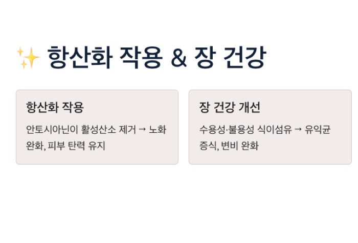 자색 고구마 항산화작용