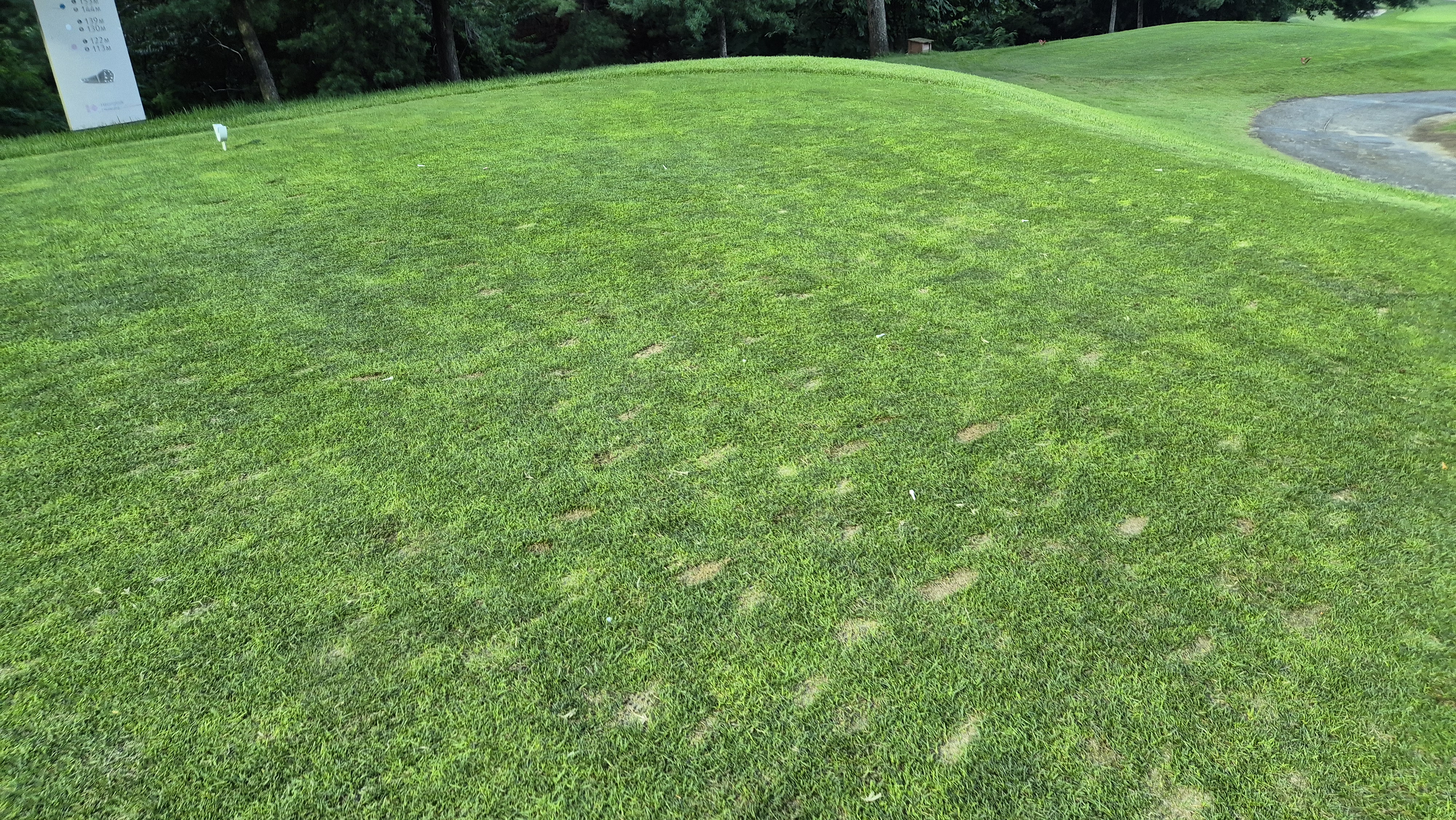 태광cc 북-서 코스 라운드 후기