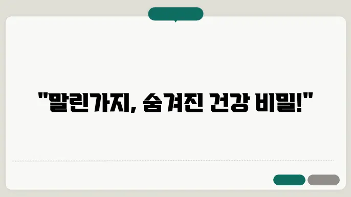 말린 가지 활용