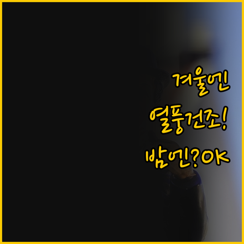 열풍 건조는 겨울철 강점 저소음 인버..