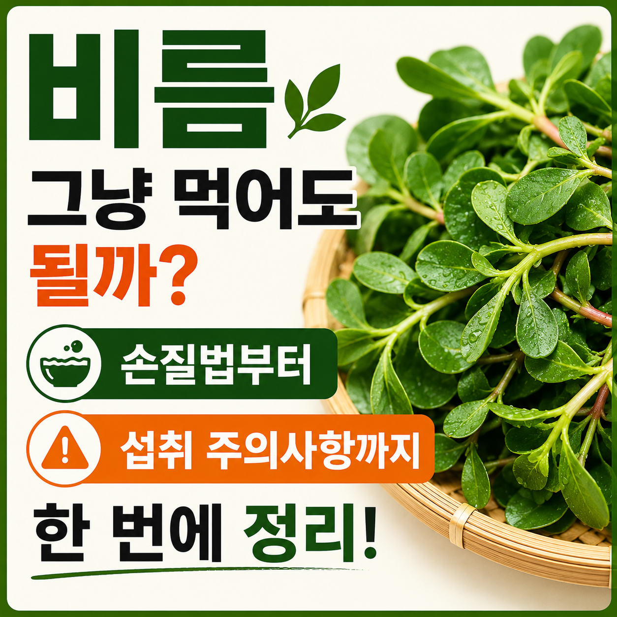 비름 효능