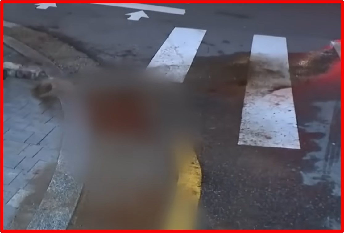 일본도 살인사건