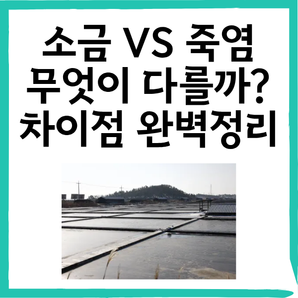 죽염과 소금 차이점