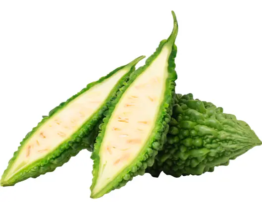 여주 효능 및 부작용&amp;#44; 여주 먹는 방법