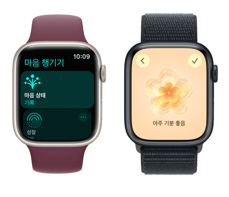 애플워치 9 출시일, 사전예약, 가격