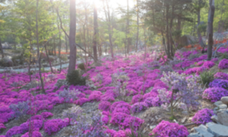 해남 포레스트 수목원