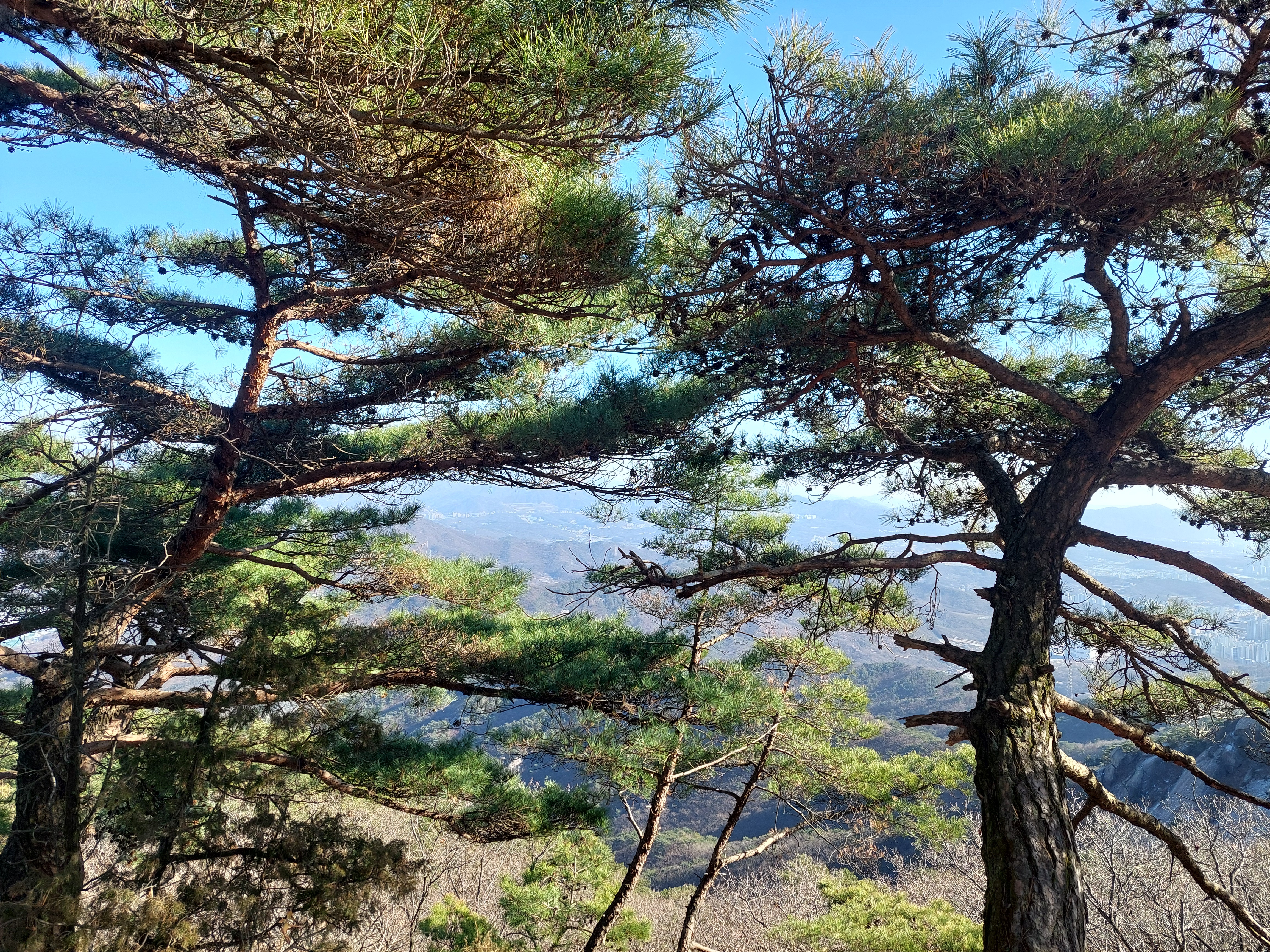 수락산