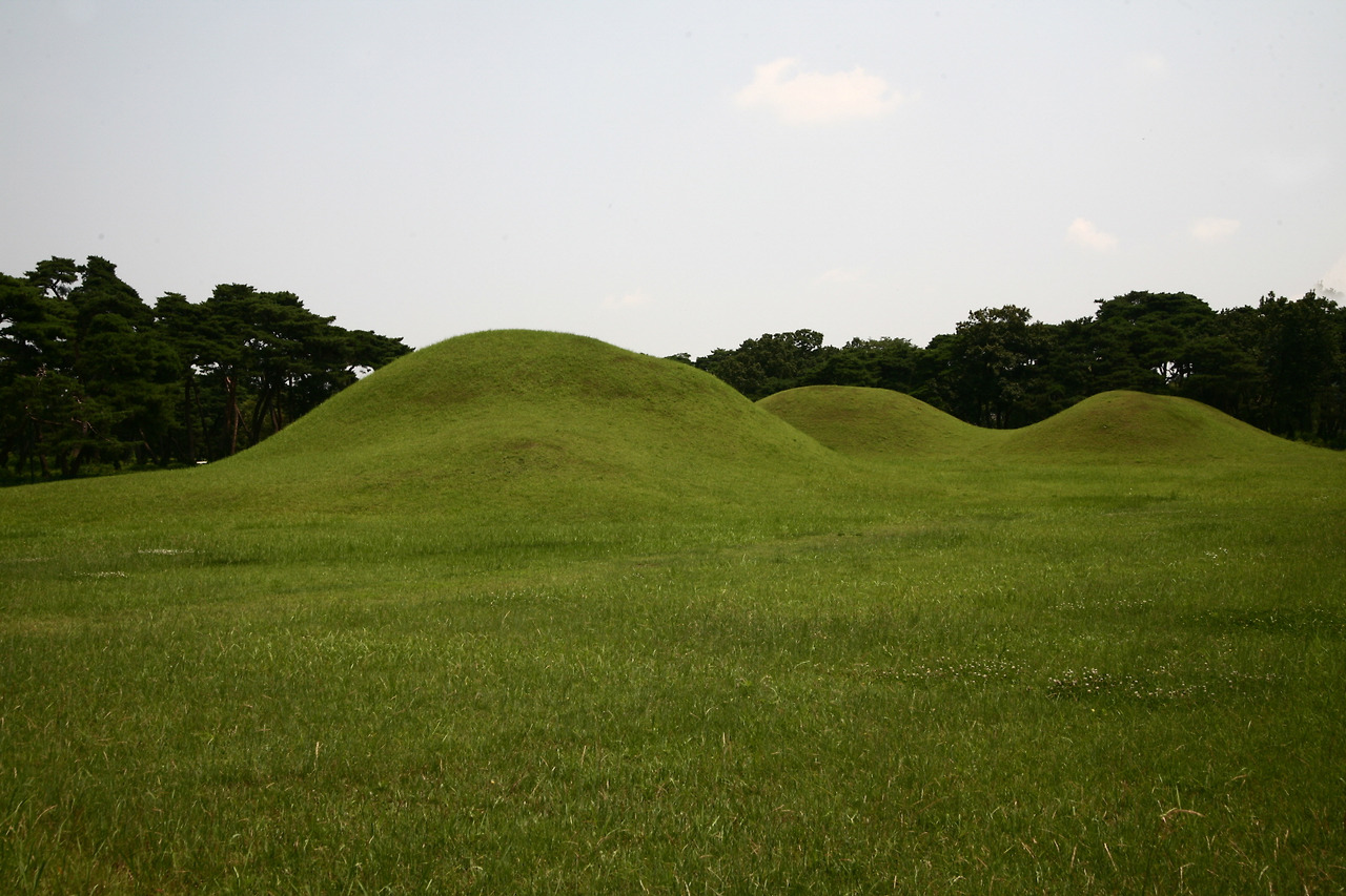 경주 오릉 이팝나무 - 이용요금, 이용시간, 주차정보