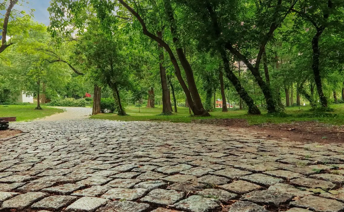 손해평가사 시험일정 시험과목 합격률