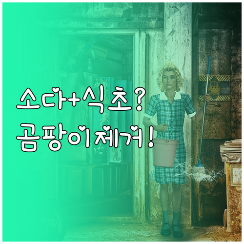 베이킹소다와 식초로 욕실 곰팡이 제거..