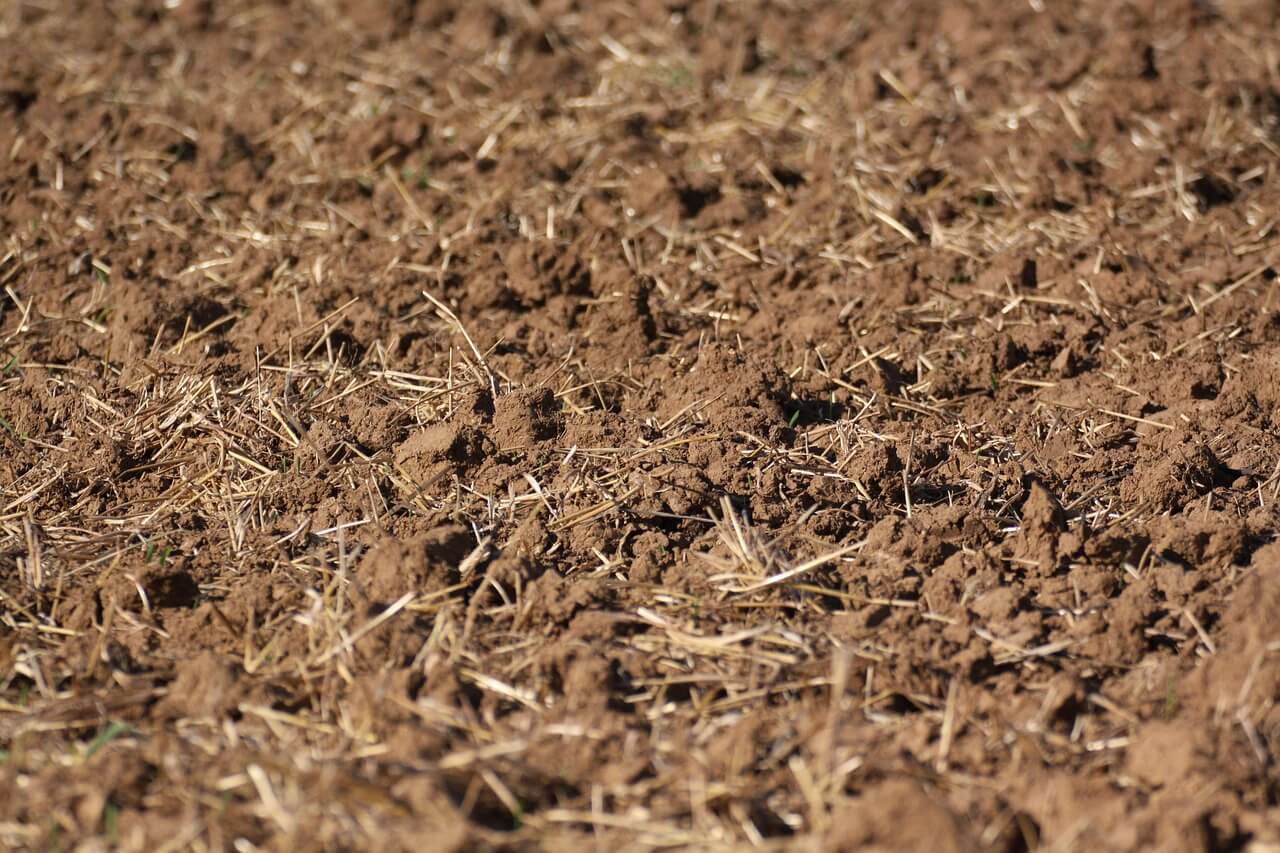 텃밭 흙이 갑자기 굳어지는 환경적 원인