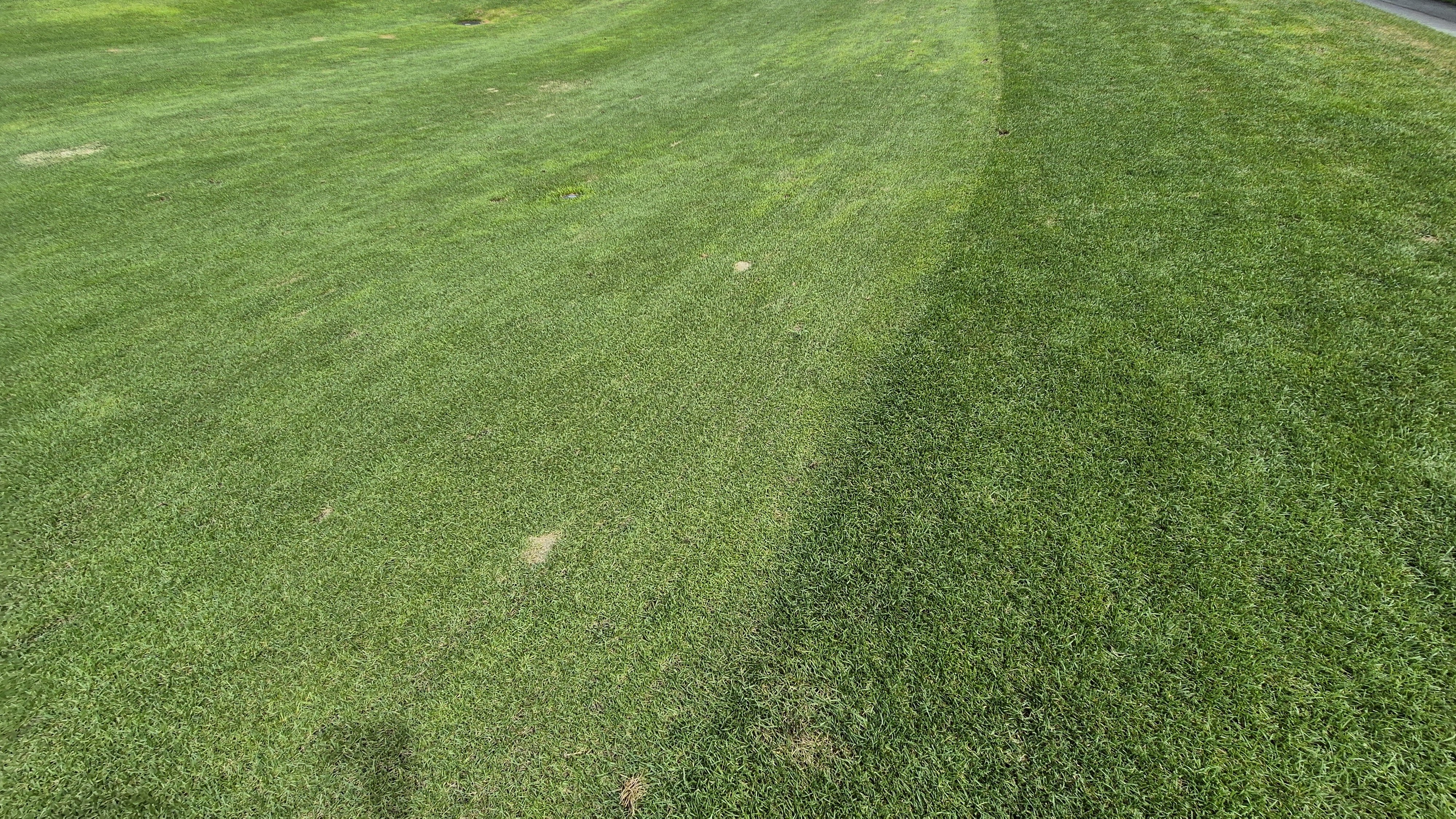 센테리움cc 스코틀랜드-웨일즈 코스 라운드 후기