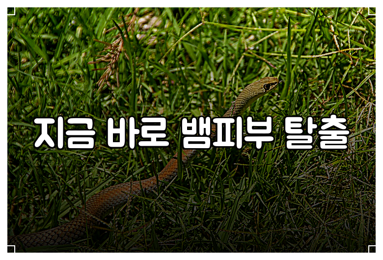 지금 바로 뱀피부 탈출