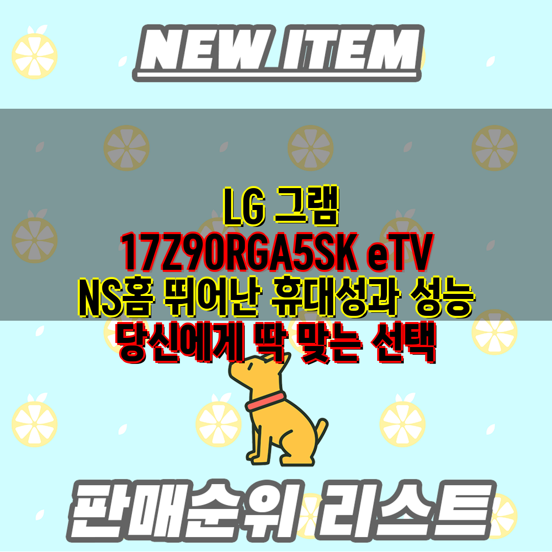  LG 그램 17Z90RGA5SK eTV NS홈 뛰어난