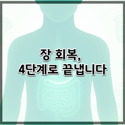 장 건강을 회복하는 4단계 전략 – 기능의학 기반 실전 가이드