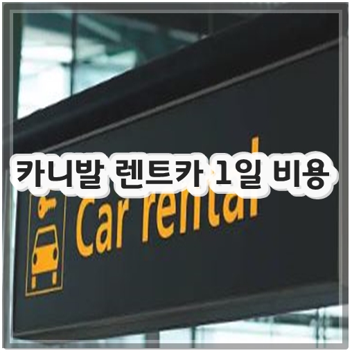 카니발 렌트카 1일 비용