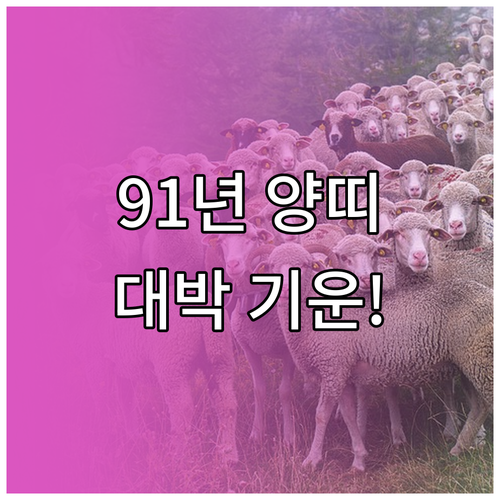 2026년 1991년생 양띠 운세 정..