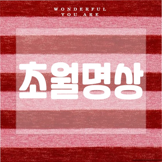 초월명상 완전 가이드: 방법과 효과의 모든 것