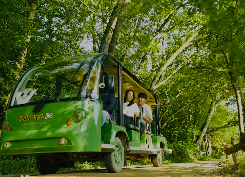 남이섬 엑티비티