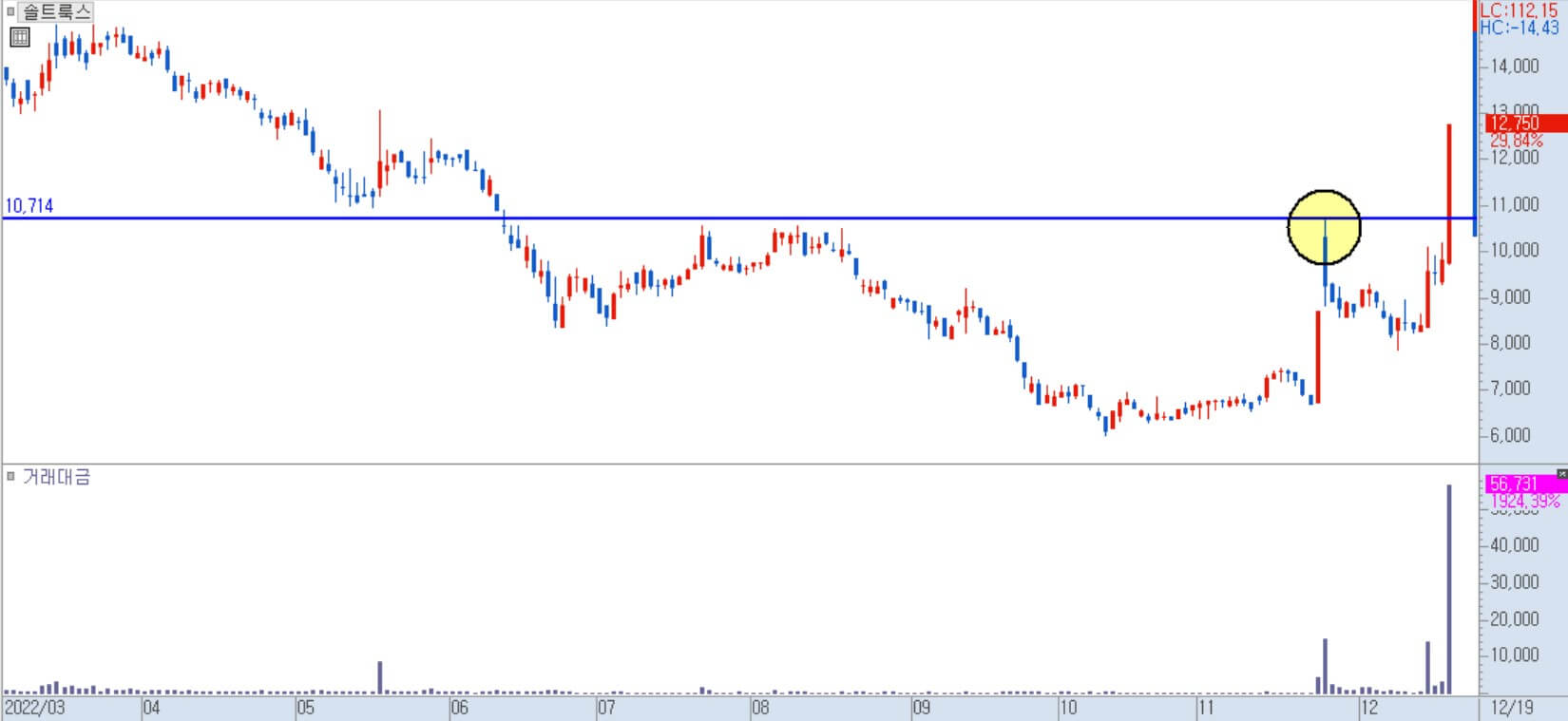 솔트룩스 일봉 차트