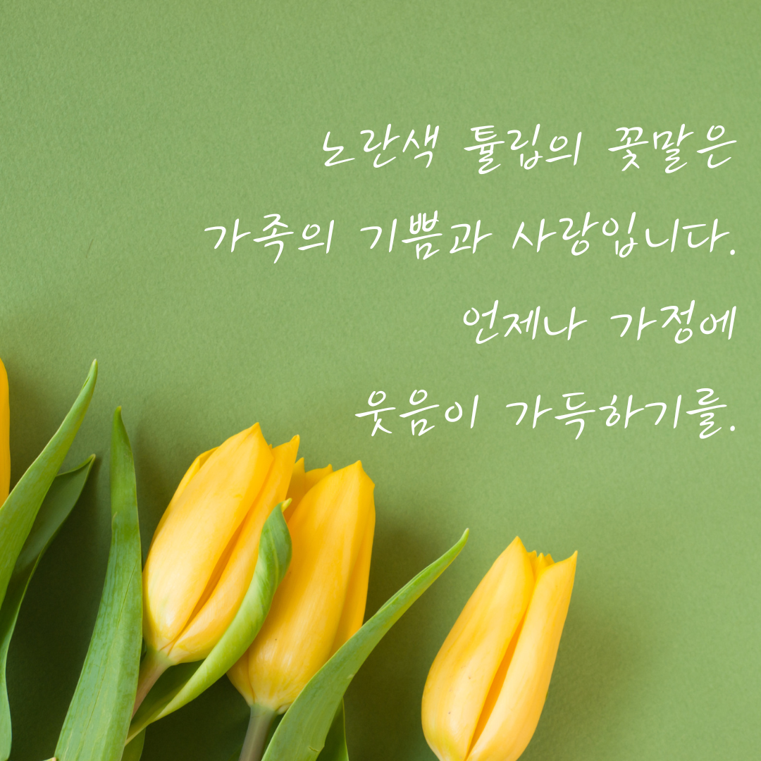 튤립 꽃말