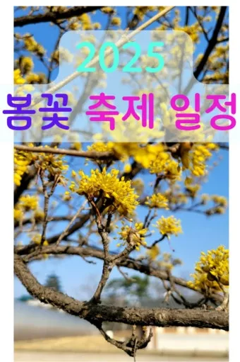 2025년 상반기 전국 봄꽃 임산물 축제 일정 예매_6