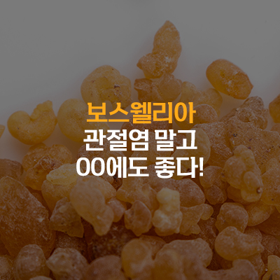 보스웰리아 관절염말고 00에도 좋다!