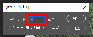 선택 영역 확대