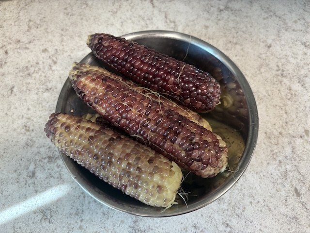 옥수수 삶는 방법