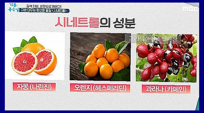 시네트롤 자몽오렌지 다이어트