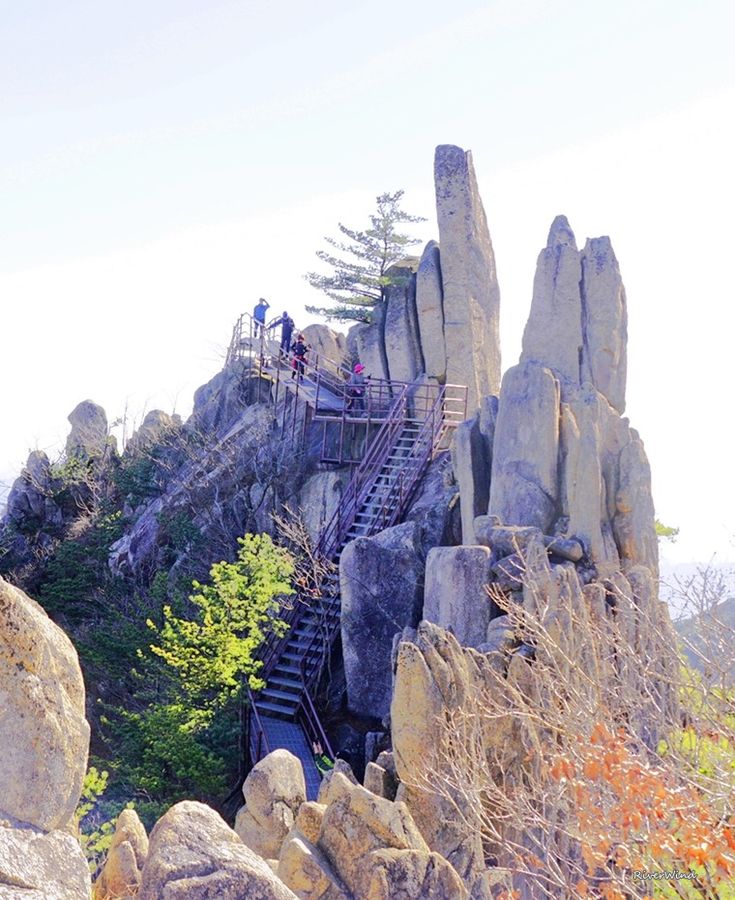 계룡산
