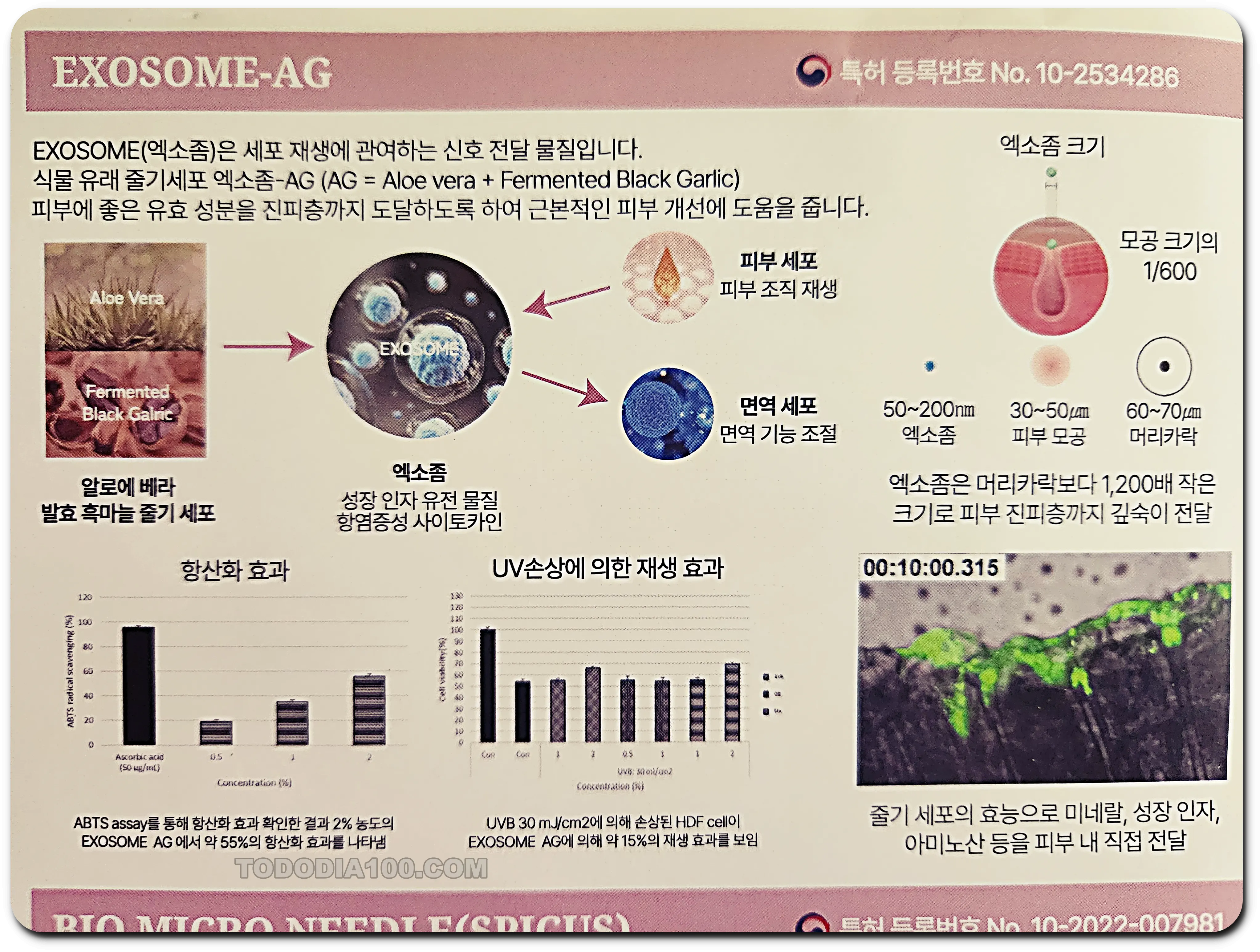 https://www.laraclara.co.kr/