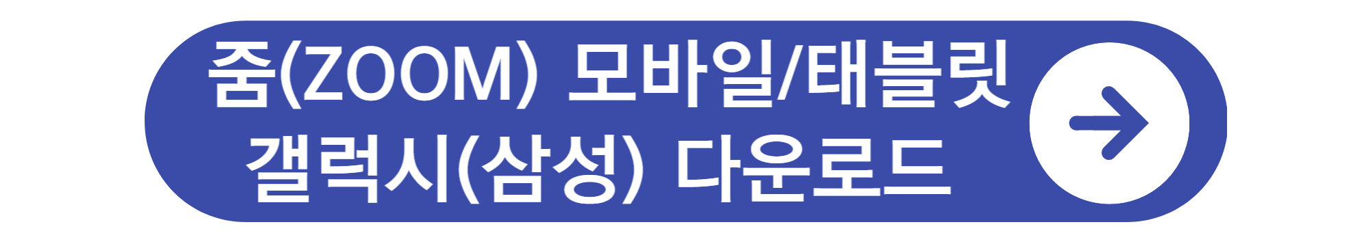 ZOOM PC 다운로드 및 사용법