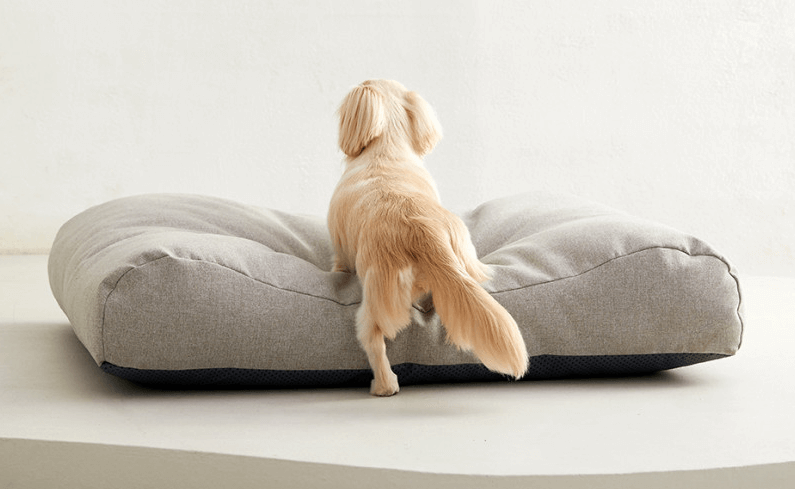 높이 조절 가능