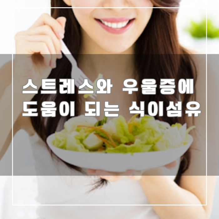 식이섬유