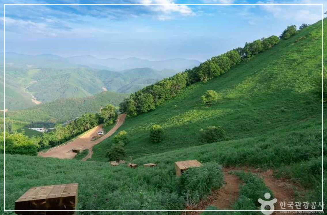 정선 가볼만한곳 베스트10 가리왕산 국립자연휴양림