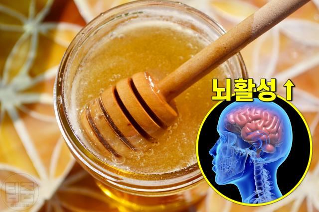 공복에 먹으면 좋은 음식, 꿀 효능, 건강,팁줌
