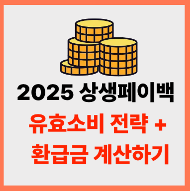 상생페이백 유효소비 전략과 최대 환급 금액 계산법