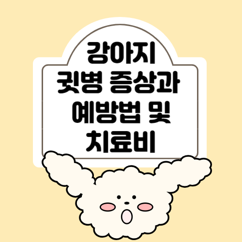 귓병 증상과 예방법