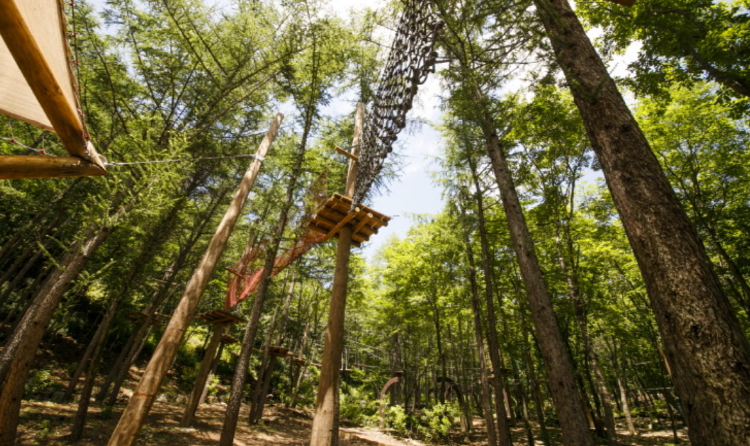 대봉산 자연휴양림