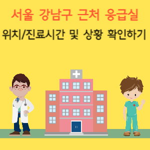 서울 강남구 근처 가까운 응급실 찾기, 진료 시간, 상황 확인 방법