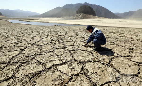 강원도 가뭄